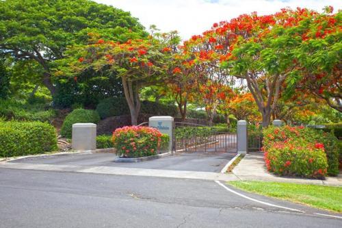 Vista Waikoloa C103