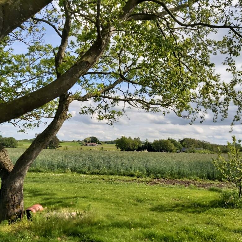 Lyngvej 16 B&B