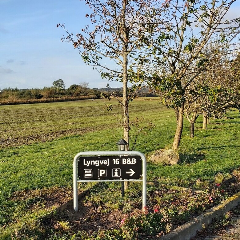 Lyngvej 16 B&B