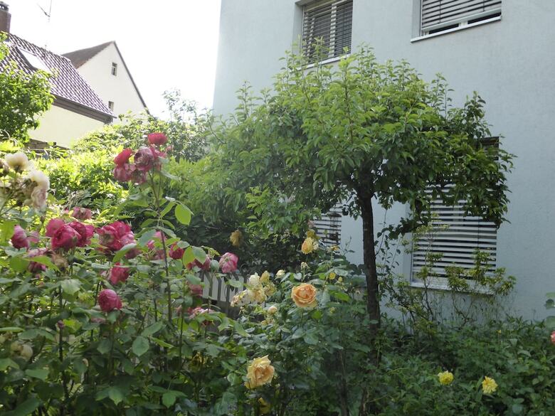G�stehaus Linde Hotel Garni