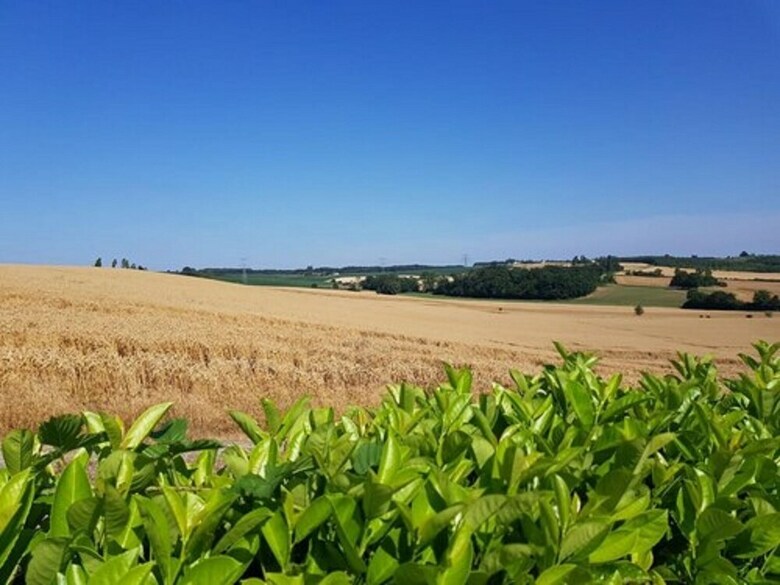 Bed & Breakfast Amour Aquitaine