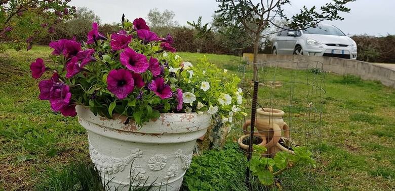 Bed & Breakfast Affittacamere Luti