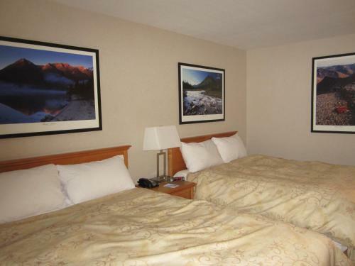 Hotel Woodlands Inn & Suites