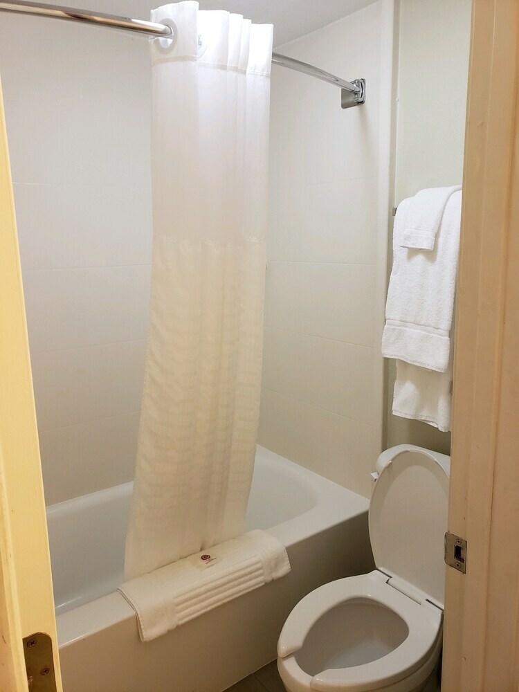 Hotel Comfort Inn