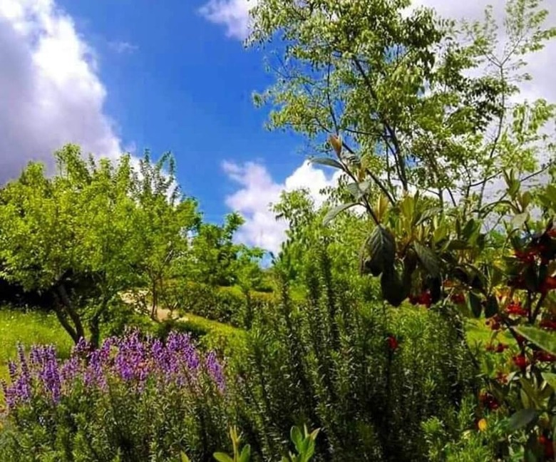 Bed & Breakfast Badde Cubas