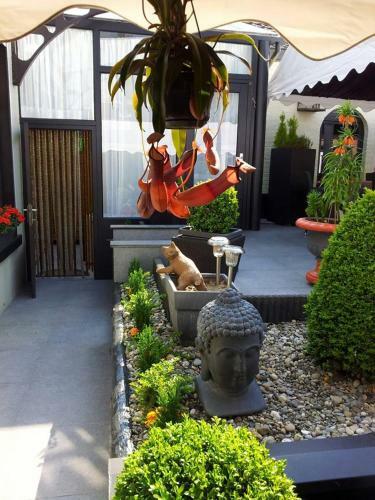 Hostal La Table D'or