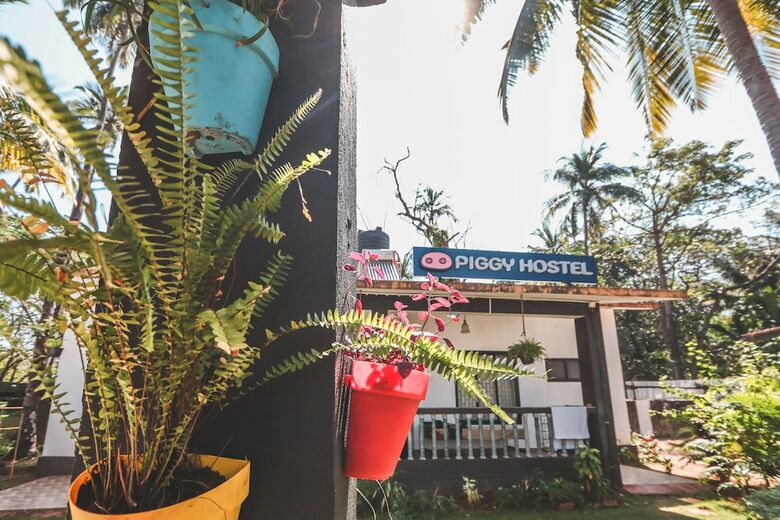 Hostal Piggy Hostel Vagator