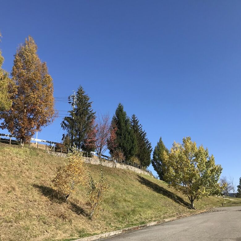 Hotel Sehongarten Omi