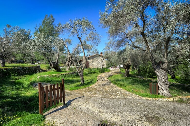 Hotel Gera's Olive Grove