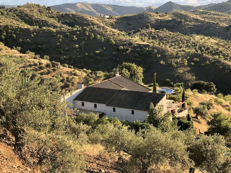 Finca Las Nuevas