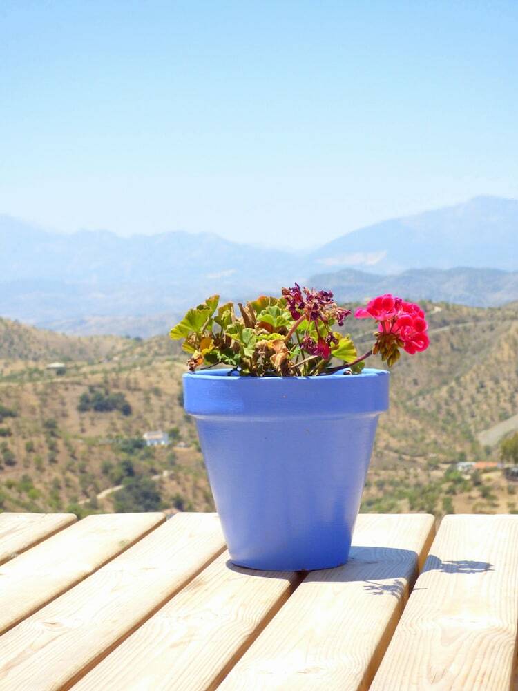 Finca Las Nuevas
