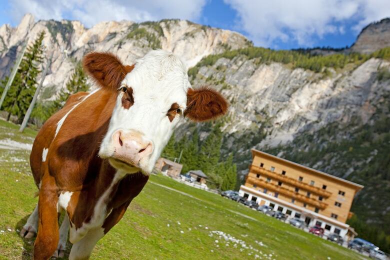 Bed & Breakfast Peder�