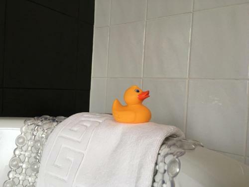 Bed & Breakfast Boscastle House