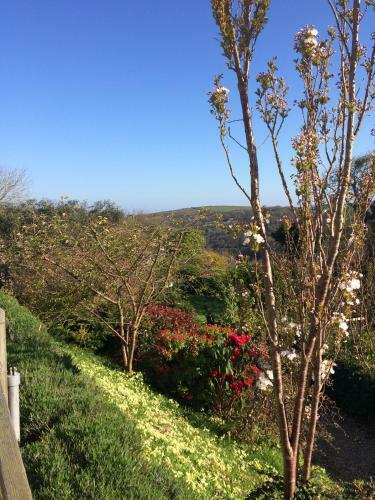 Bed & Breakfast Boscastle House