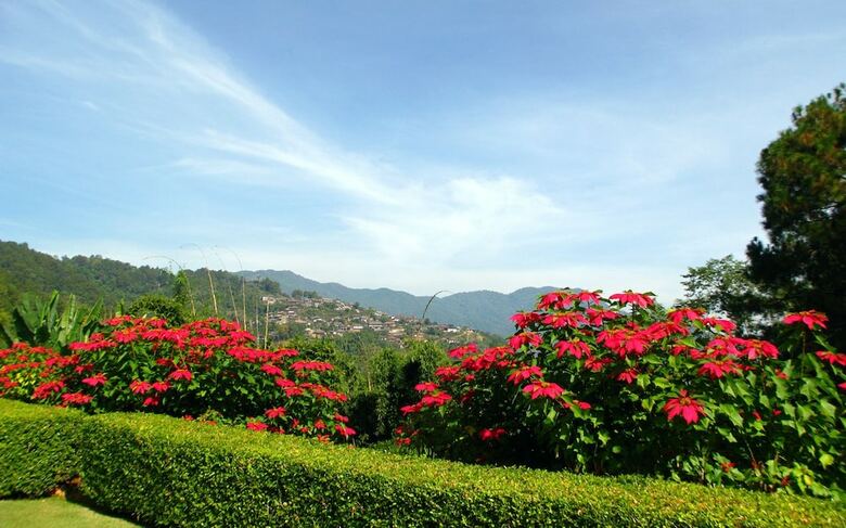 Hotel Doi Tung Lodge