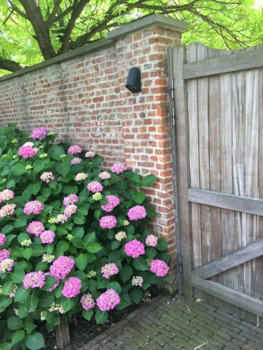 B&B De Frimethe