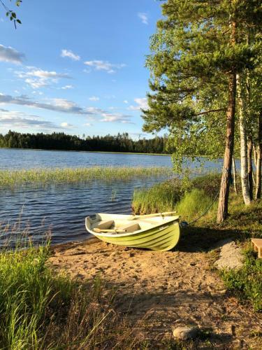Hostal Ollinm�ki Vineyard