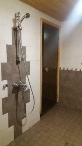 Hostal Ollinm�ki Vineyard