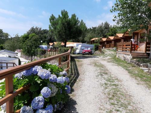 Camping Ria De Arosa 1