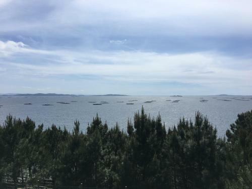 Camping Ria De Arosa 1