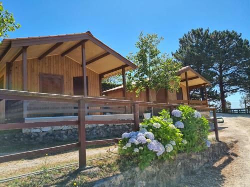 Camping Ria De Arosa 1