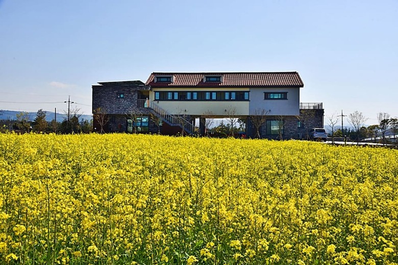 Ondam House