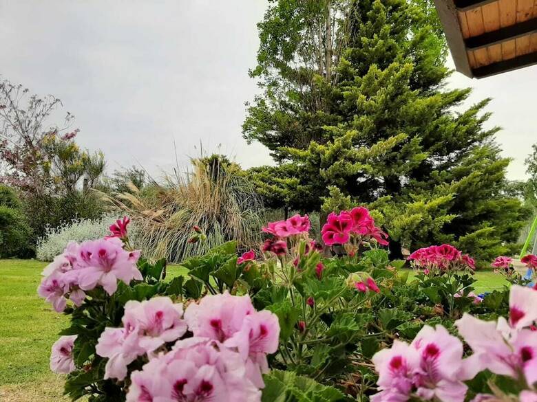Hotel Apart Caba�as Olivos Del Sol