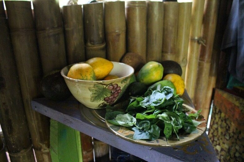 Hostal Paradise Eco-village