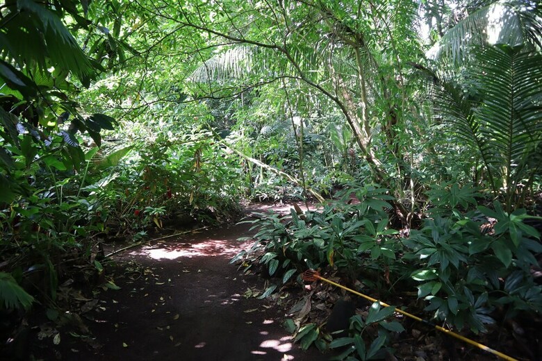 Hostal Paradise Eco-village