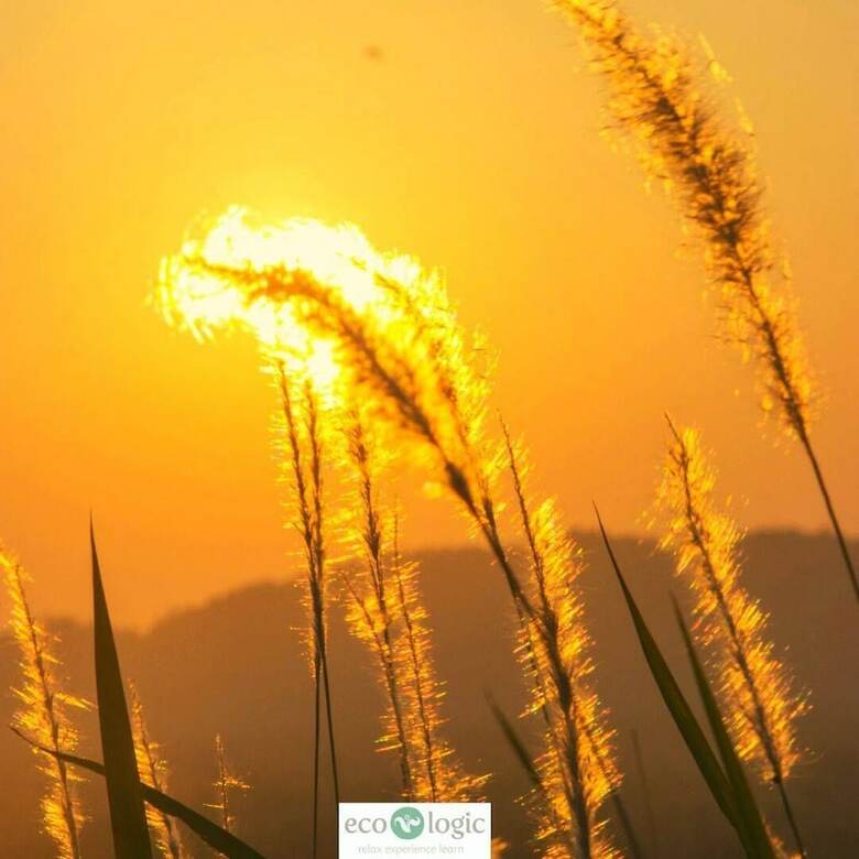 Hotel Ecologic Thailand