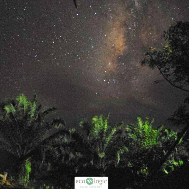 Hotel Ecologic Thailand