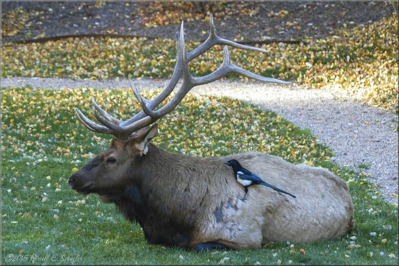 Apartamento Sunnyside Knoll: 2