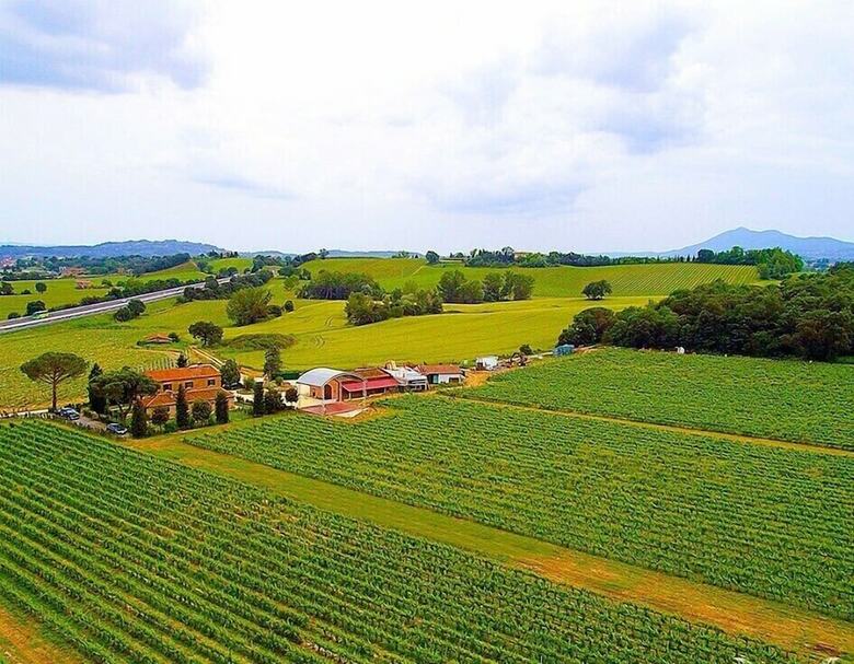 Apartamento Podere Casanova Montepulciano