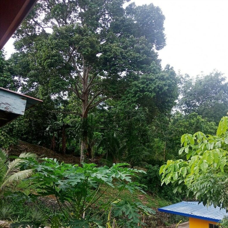 Hotel Arvad Cottage