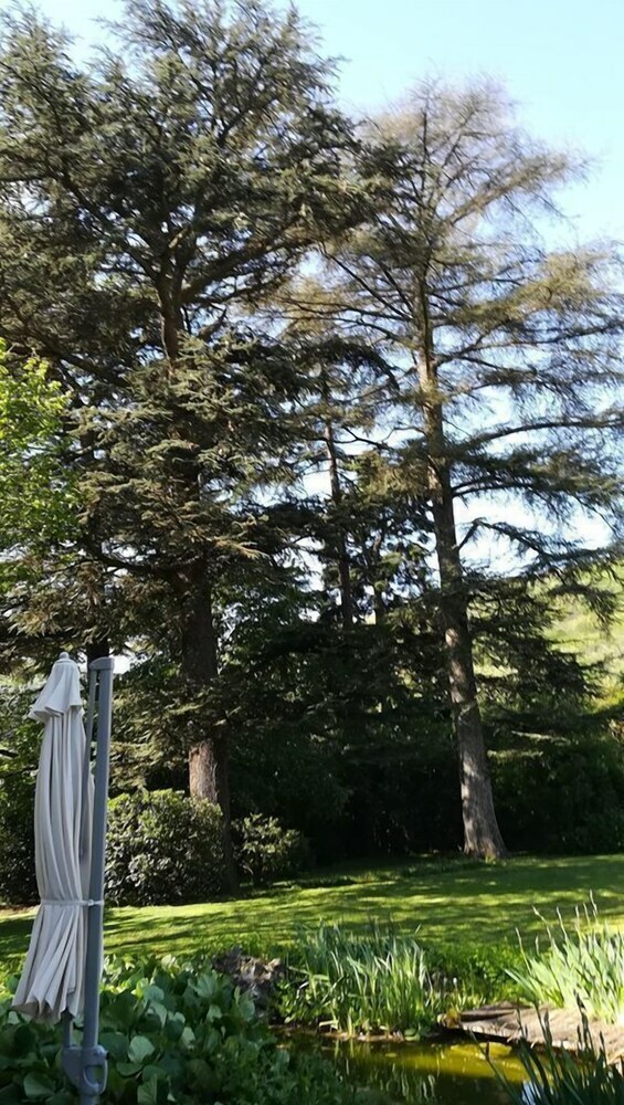 Hotel Les Palmiers de Mauves