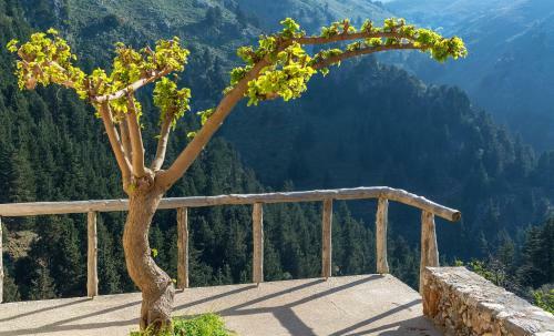 Villa Apirathes