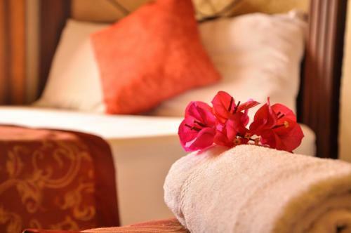 Mayaland Plaza Hotel