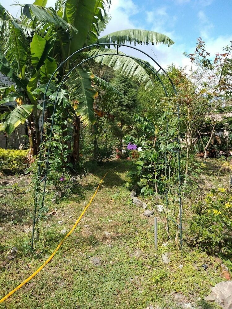 Hotel Nasun Bed And Breakfast