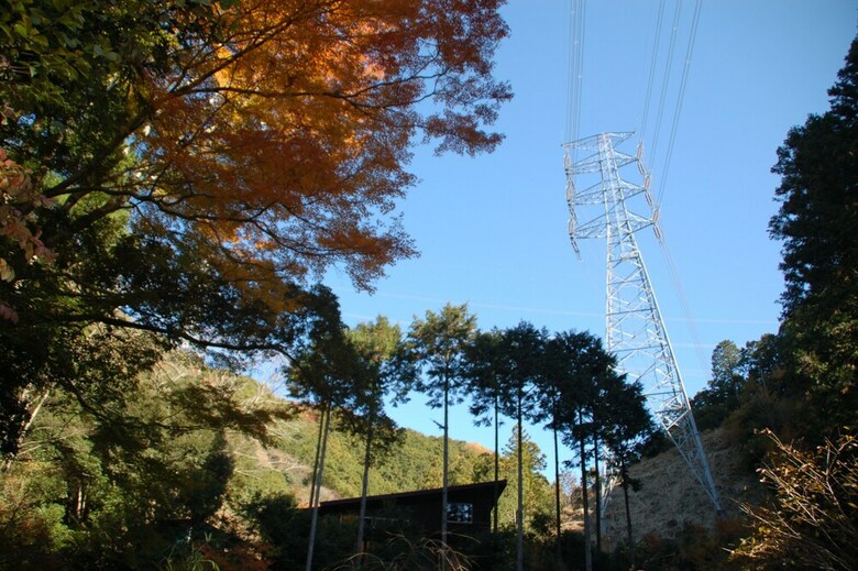 Guesthouse Mori No Eki