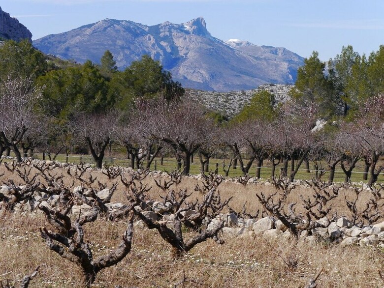 Agroturismo Casa Rural Villa Da Marta - Adults Only
