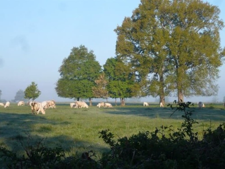 Hotel La Thibaude