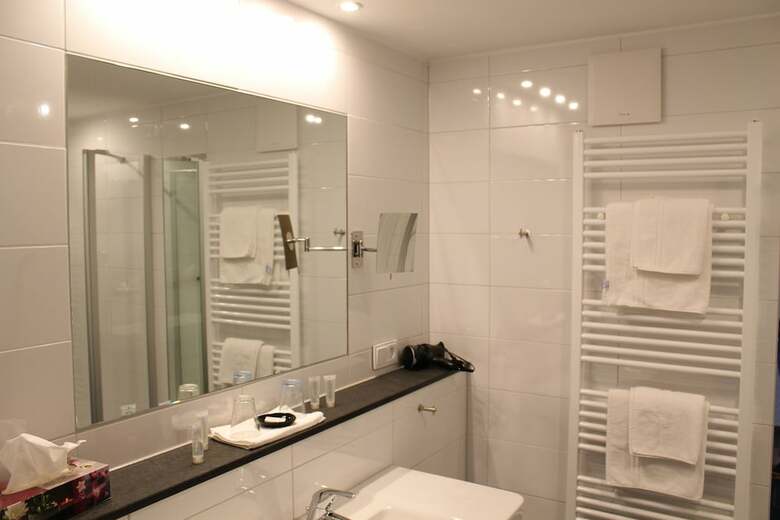 Rheinhotel Arte