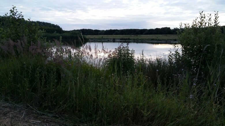 B&B De Polderhoeve