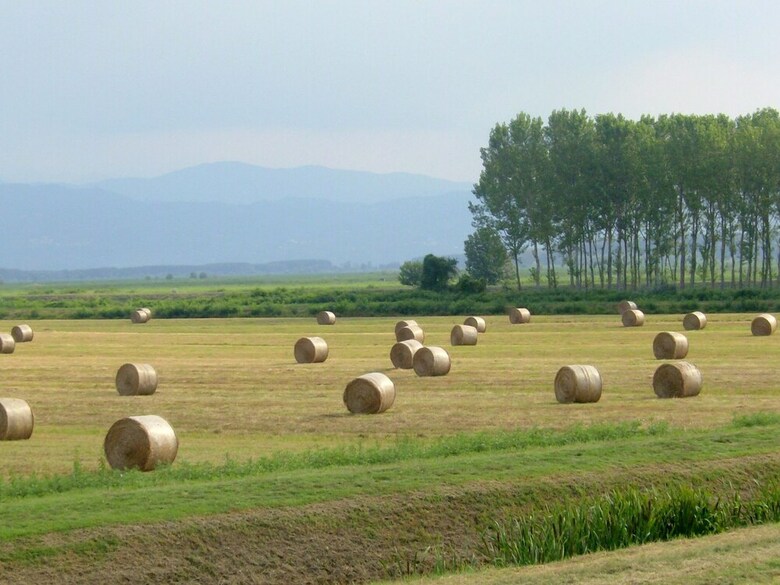 Charming Holiday Home Between Florence And Pisa