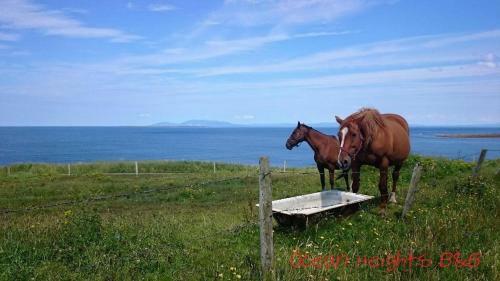 Ocean Heights B&B