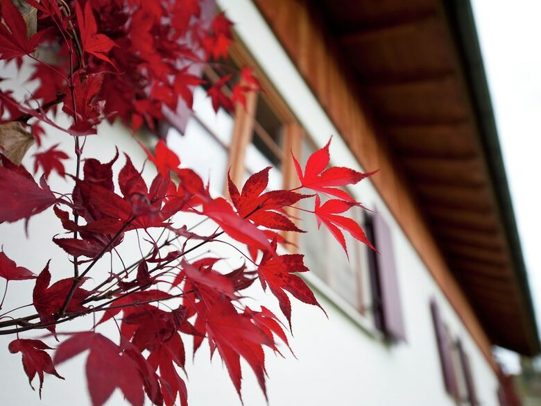 Alluring Apartment In Bad-kohlgrub With Private Garden