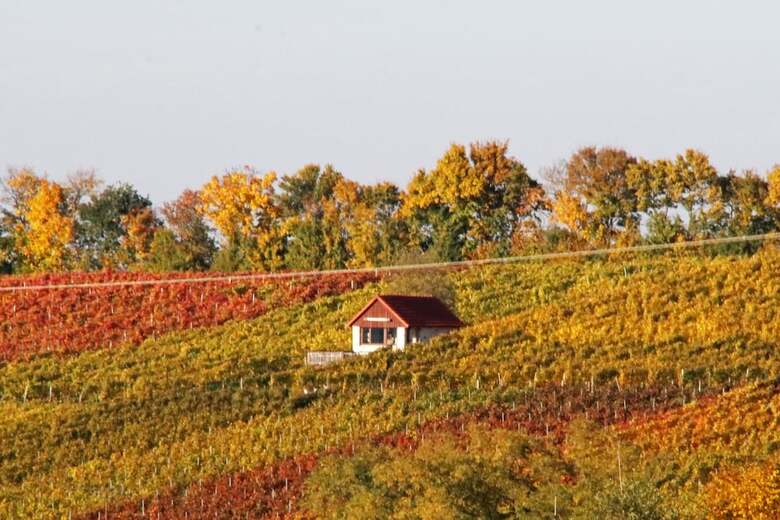Hotel Winzerbett Kessler