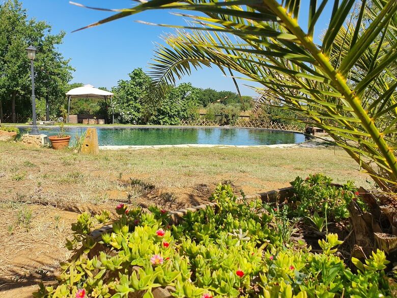 Agroturismo Agriturismo Il Poderino