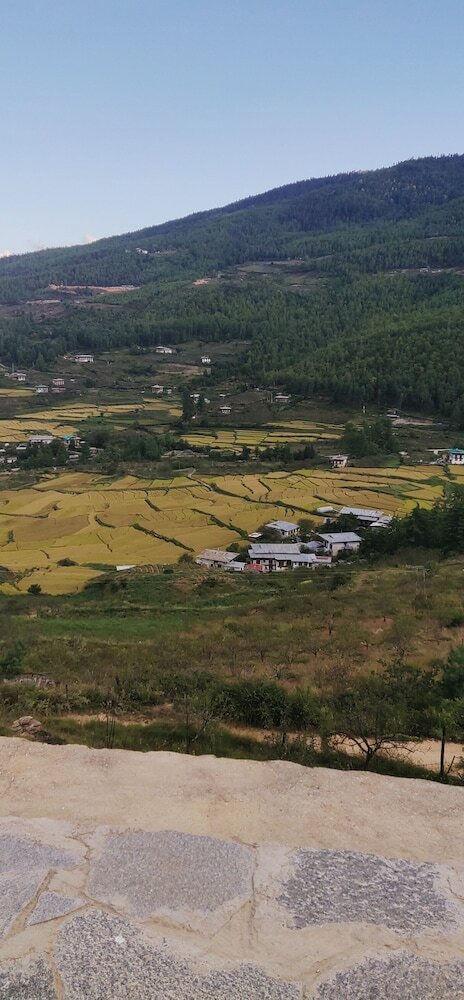 Hotel Paro Village View Home Stay