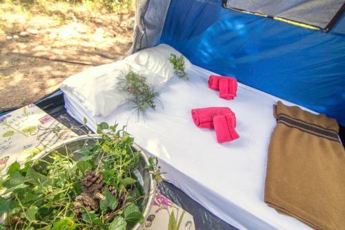 Drolma Ling Camping Rhodes